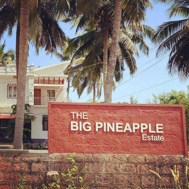 אודופי The Big Pineapple Estate Villa מראה חיצוני תמונה